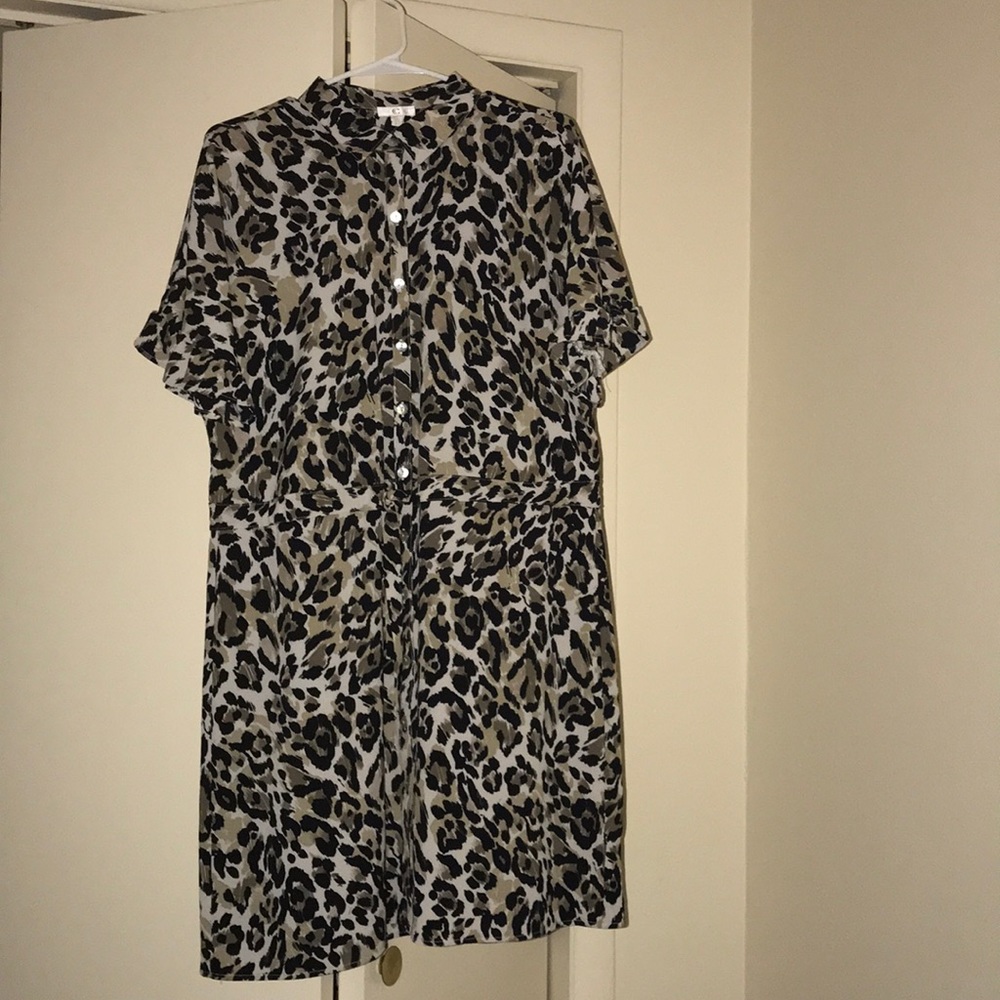 Collared Leopard Print dress!